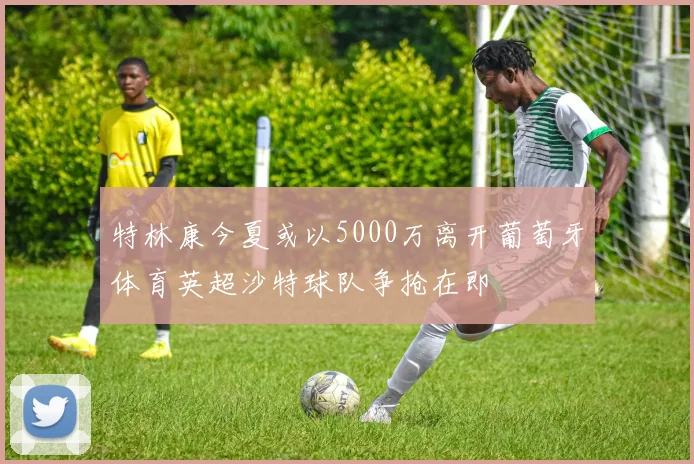 特林康今夏或以5000万离开葡萄牙体育英超沙特球队争抢在即