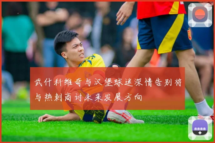 武什科维奇与汉堡球迷深情告别将与热刺商讨未来发展方向
